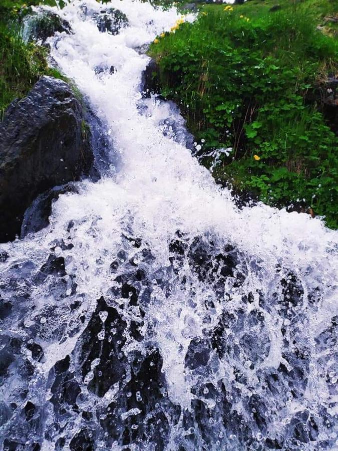 Кришталеві Вершини Villa Vorokhta Bagian luar foto