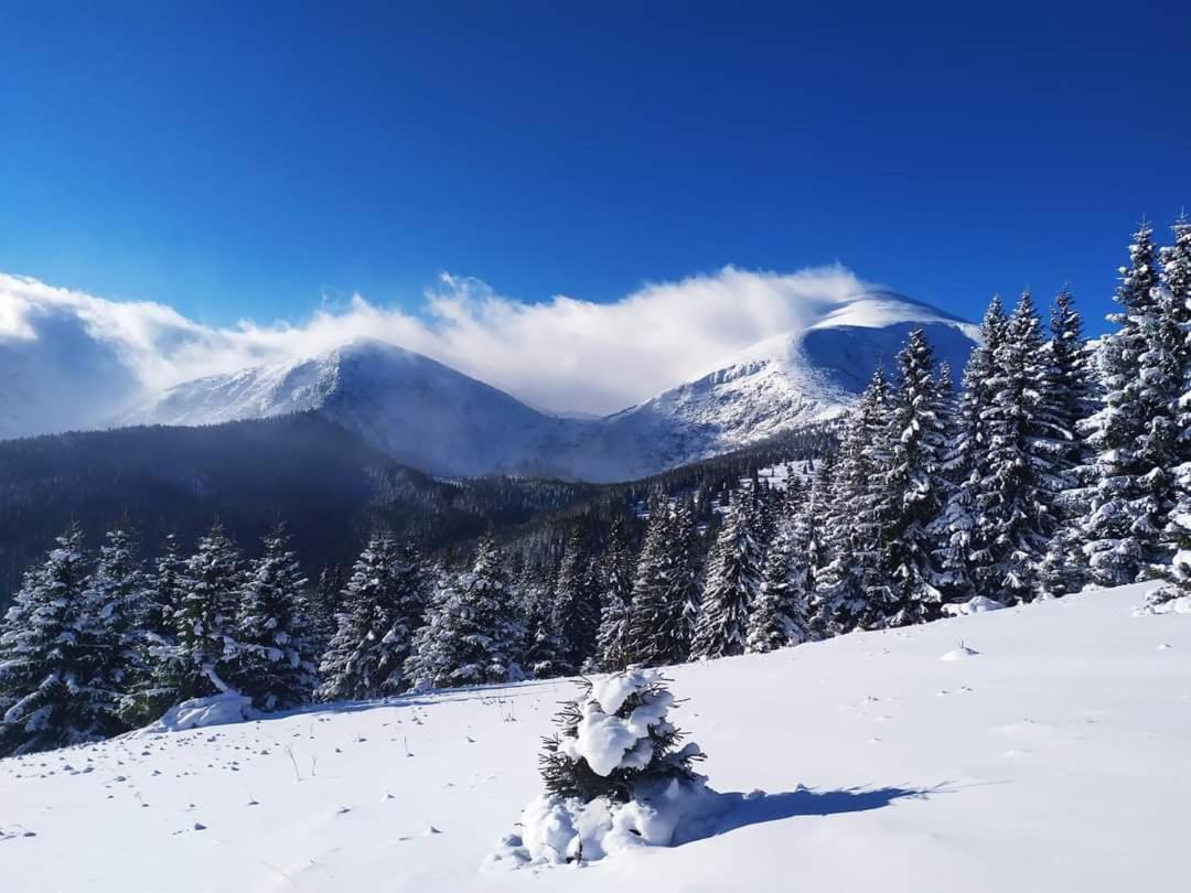 Кришталеві Вершини Villa Vorokhta Bagian luar foto