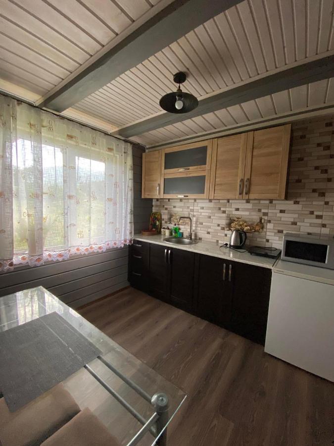 Кришталеві Вершини Villa Vorokhta Bagian luar foto